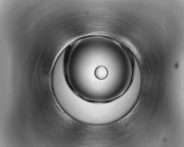 X0000099511284200805221414