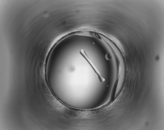 X0000099511288200805221414
