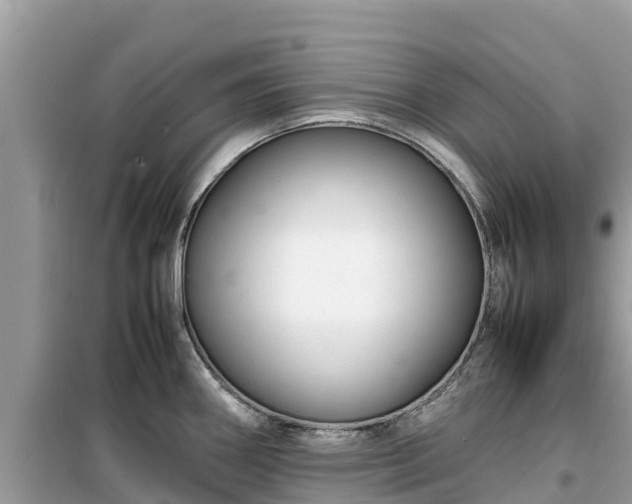 X0000099511290200805221414