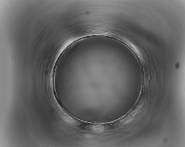 X0000099511291200805221414
