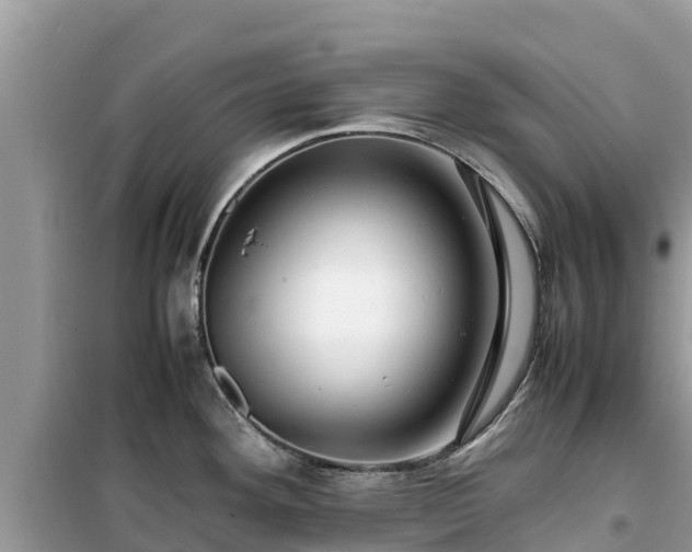 X0000099511292200805221414