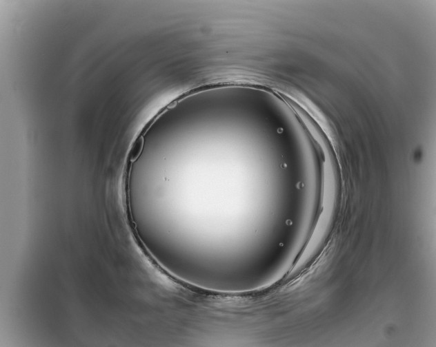 X0000099511293200805221414
