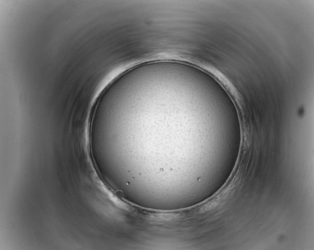 X0000099511294200805221414