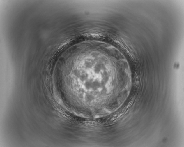 X0000099511297200805221413