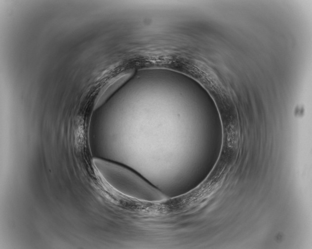 X0000099511298200805221413
