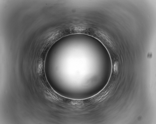 X0000099511299200805221413