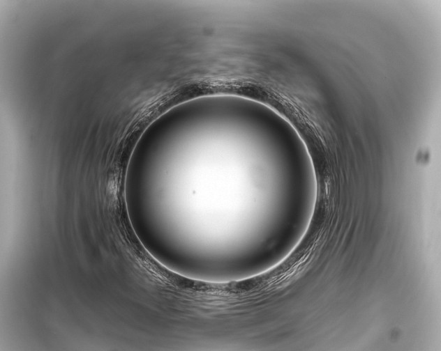 X0000099511300200805221413