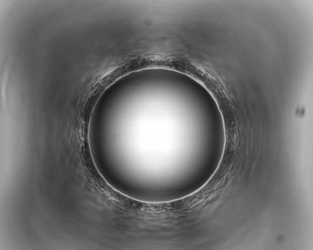 X0000099511301200805221413