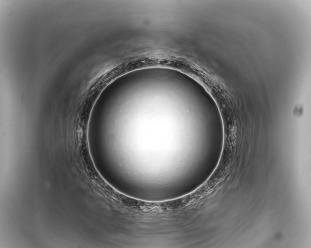 X0000099511302200805221413
