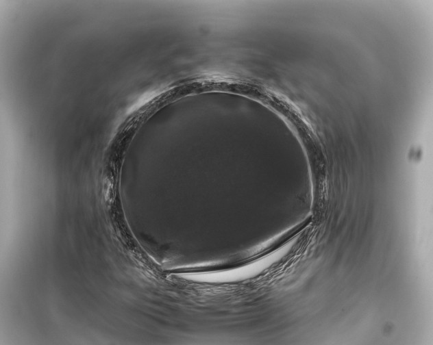 X0000099511303200805221413