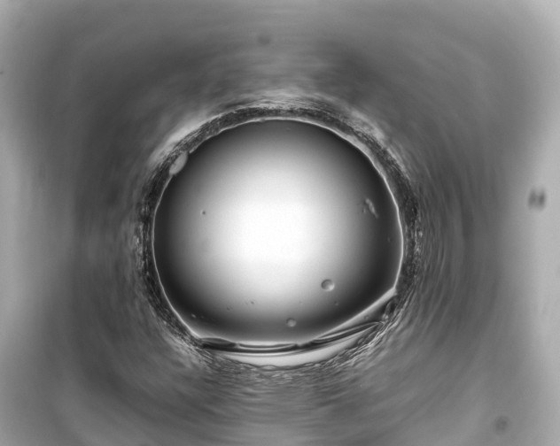 X0000099511304200805221413