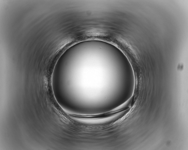 X0000099511305200805221413