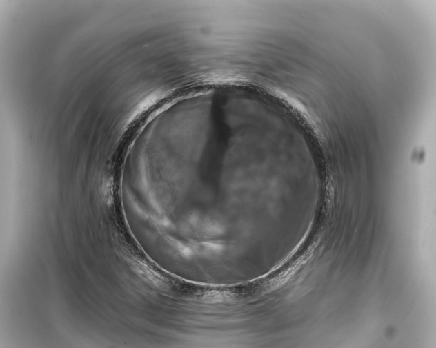 X0000099511306200805221413
