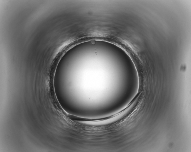 X0000099511307200805221413