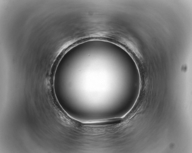X0000099511308200805221413