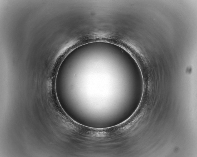 X0000099511309200805221413