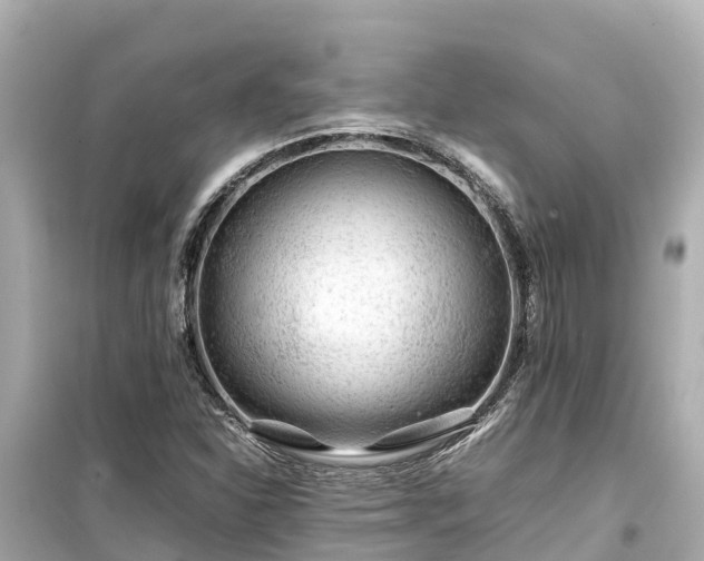 X0000099511310200805221413