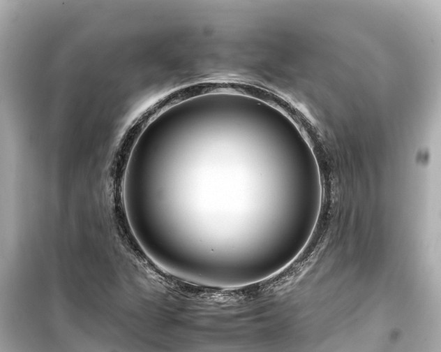 X0000099511311200805221413