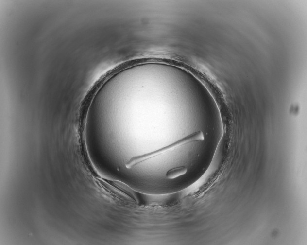 X0000099511312200805221413