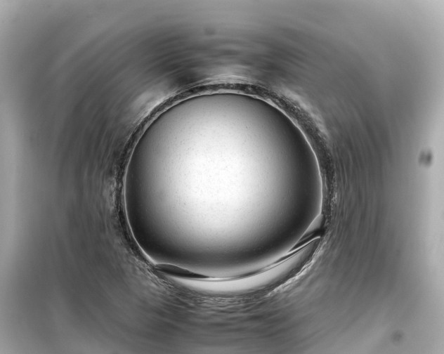 X0000099511313200805221413