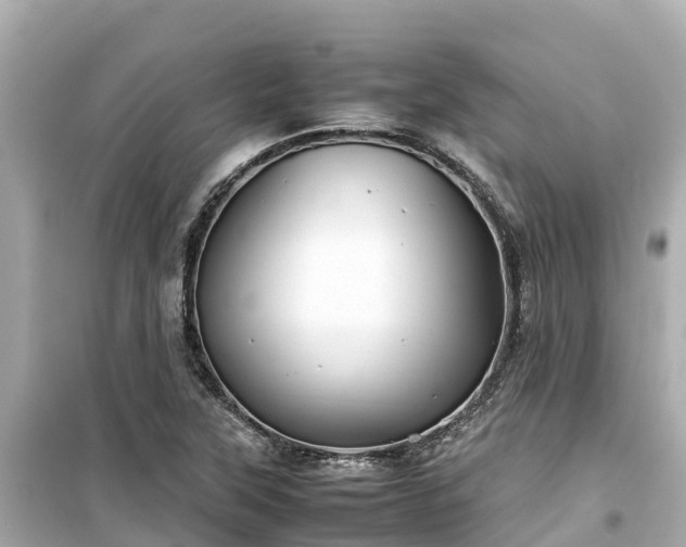 X0000099511315200805221413