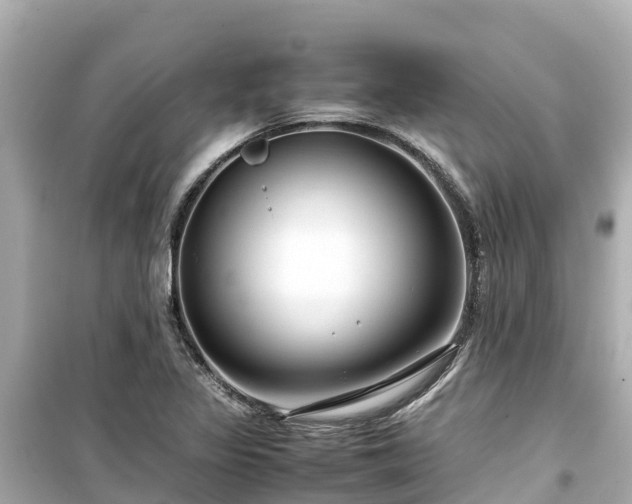 X0000099511317200805221413