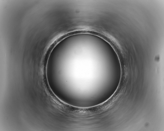 X0000099511318200805221413