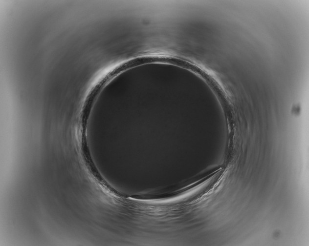 X0000099511319200805221413