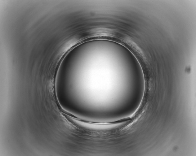 X0000099511321200805221414