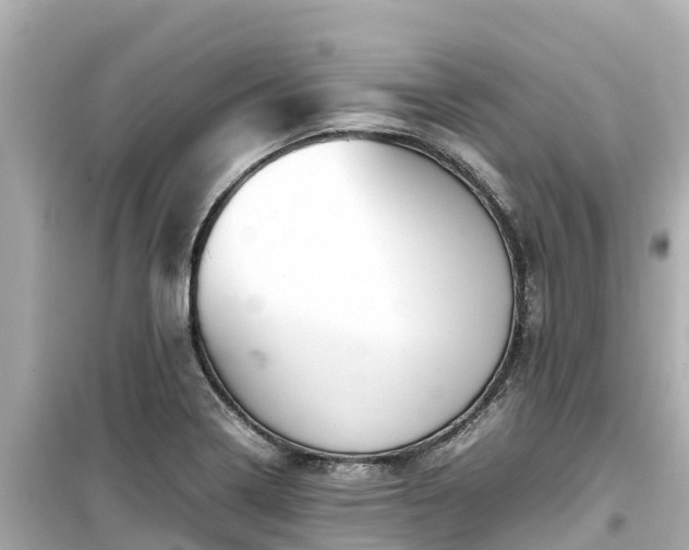 X0000099511322200805221414