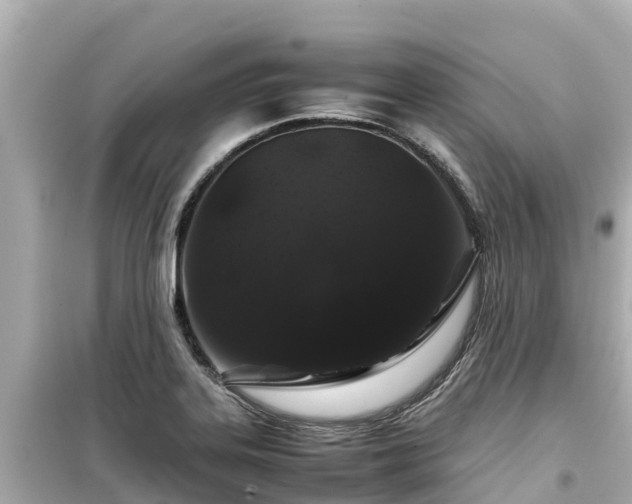 X0000099511323200805221414