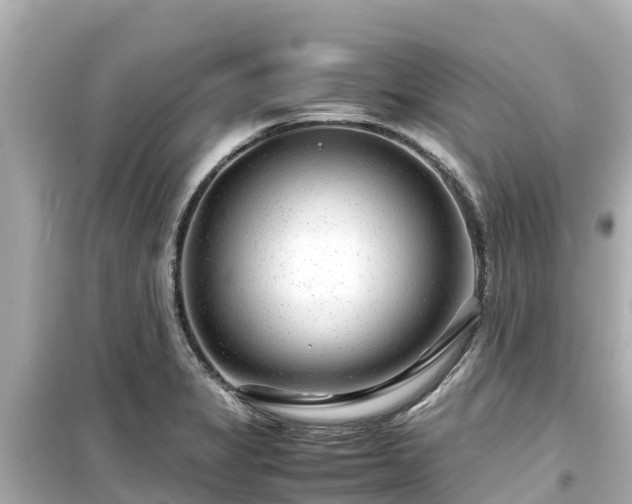 X0000099511325200805221414