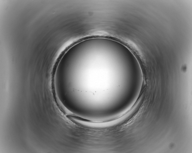 X0000099511326200805221414