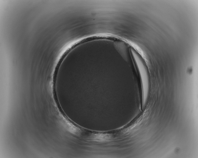 X0000099511327200805221414