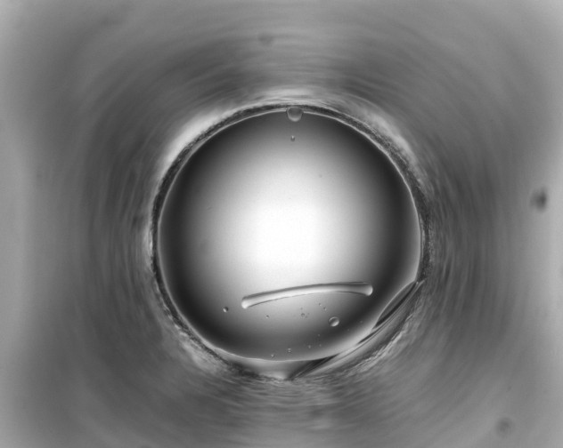 X0000099511328200805221414