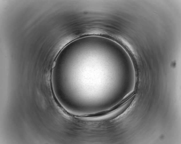 X0000099511329200805221414