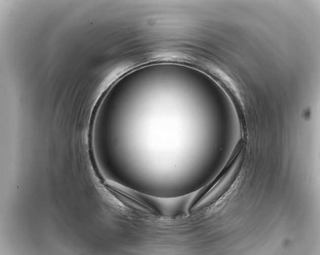 X0000099511330200805221414