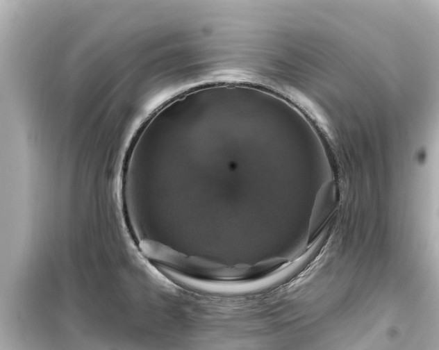X0000099511334200805221414