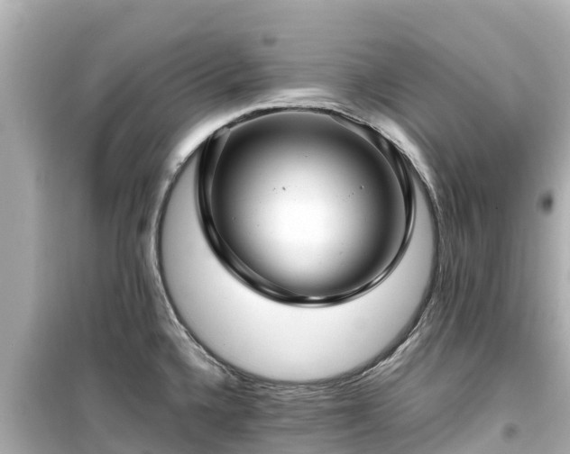 X0000099511336200805221414