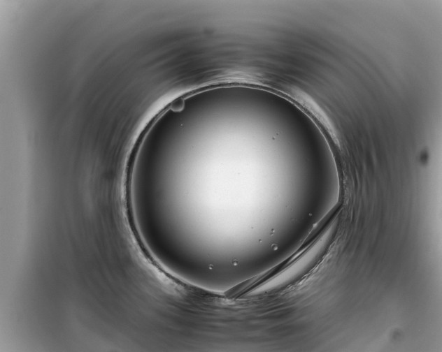 X0000099511339200805221414