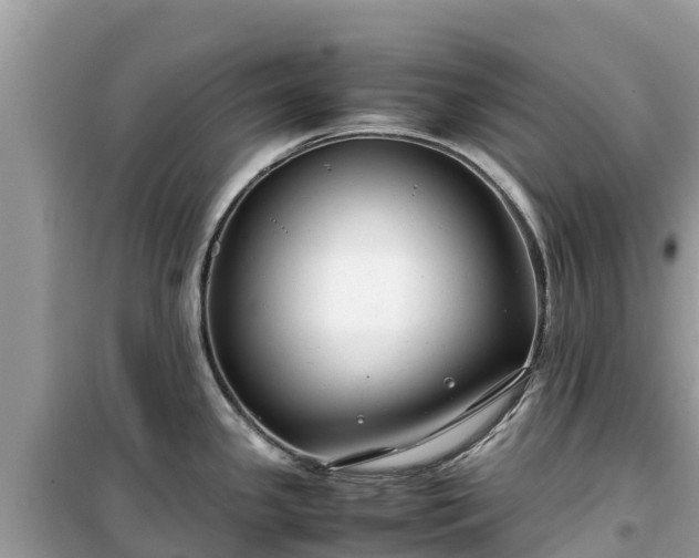 X0000099511341200805221414