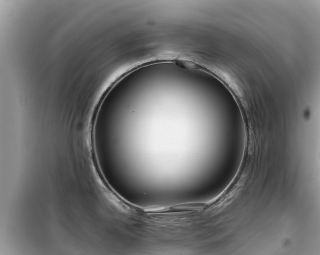 X0000099511342200805221414