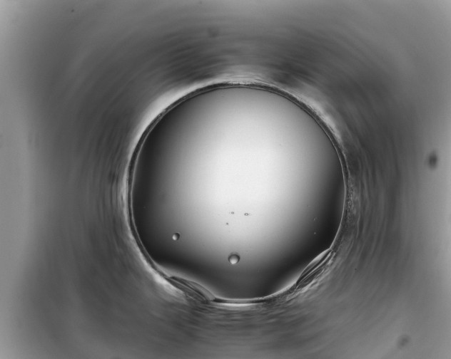 X0000099511343200805221414