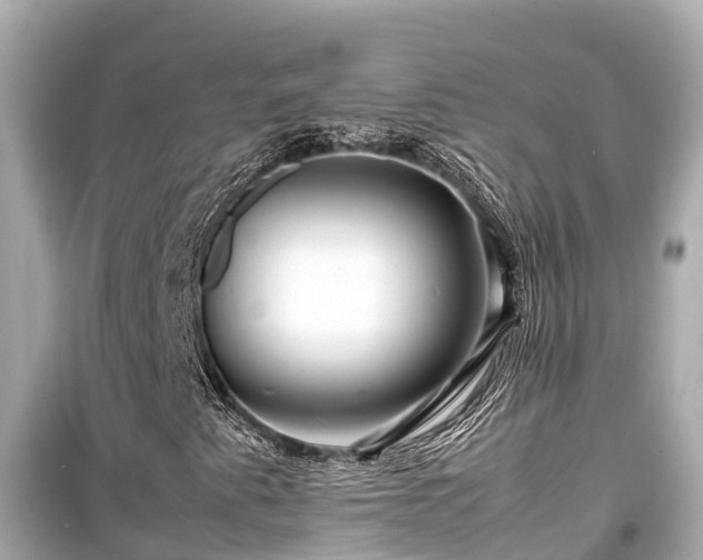 X0000099511345200805221413