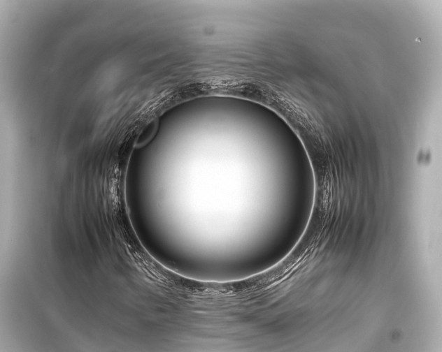 X0000099511346200805221413