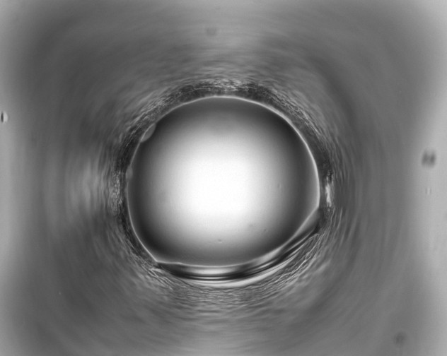X0000099511347200805221413