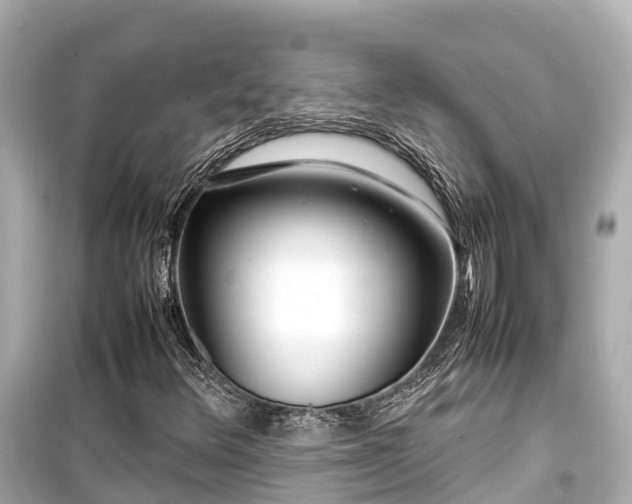 X0000099511348200805221413