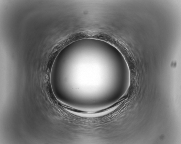 X0000099511349200805221413