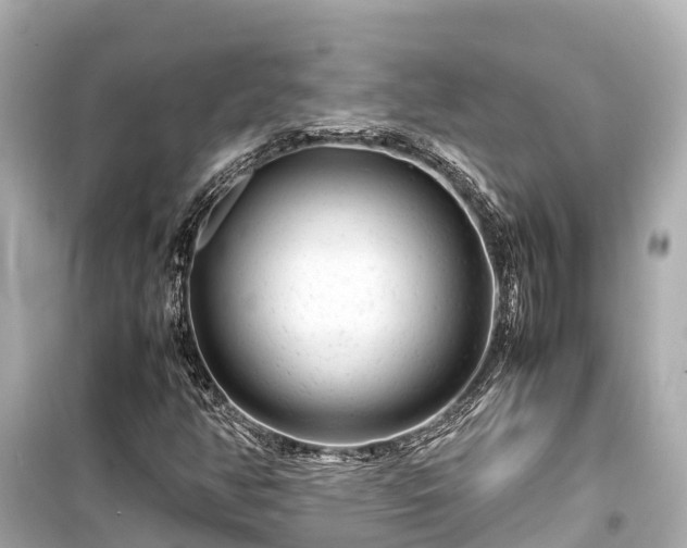 X0000099511350200805221413