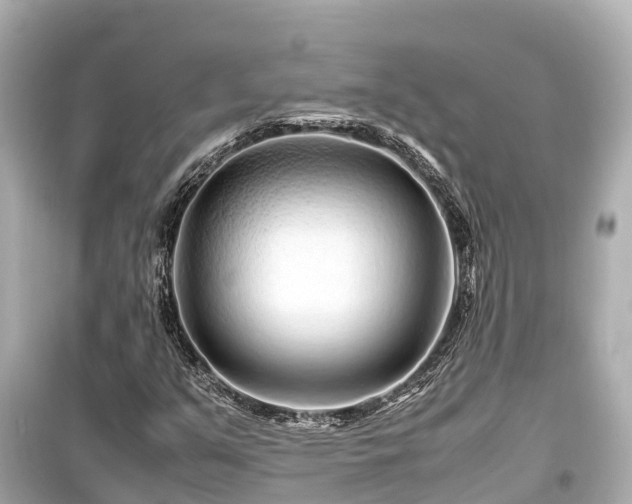 X0000099511351200805221413